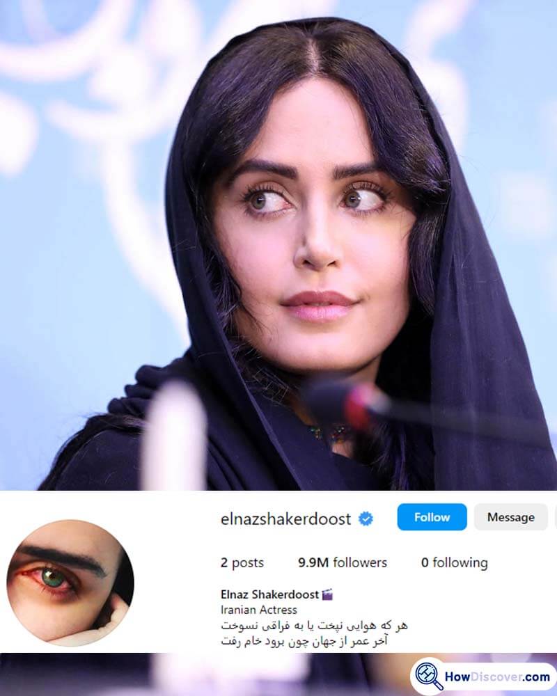 Most followers on Instagram Iran - Elnaz Shakerdoost